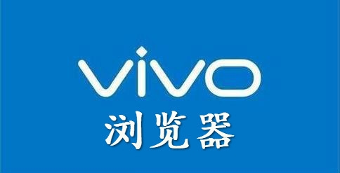 vivo浏图2